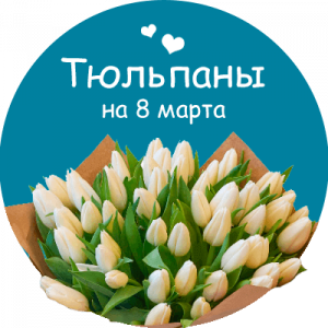 Купить тюльпаны в Шадринске